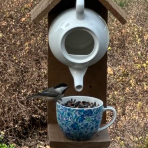 Rustic Wooden Bird Feeder/ Birdhouse Handmade English Tea - Picture 11 of 16